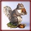 Image 1 : GRAY SQUIRREL 24K GOLD SWAROVSKI CRYSTAL JEWELRY