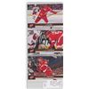 Image 1 : Lot of 3 Detroit Red Wings, NHL Hockey cards including Dan Cleary, Valtteri Filppula & Niklas Kronwa