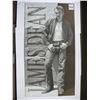 Image 1 : JAMES DEAN Tin Sign - 8 1/2 inches by 16 inches