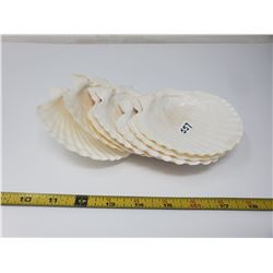 8 shell dishes