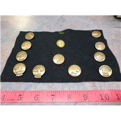 Ducks Unlimited pins