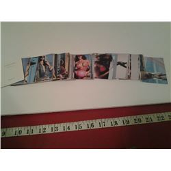 Spring break trading cards