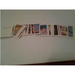 Spring break trading cards