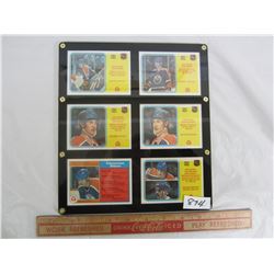 6 Wayne Gretsky Cards 1982-1983 in screw down