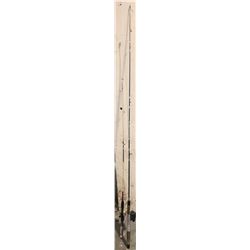 2 fishing rods with reels