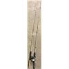 Image 3 : 2 fishing rods one with reel