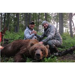 Alaska Brown Bear Hunt