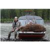 Image 3 : Alaska Brown Bear Hunt