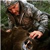 Image 5 : Alaska Brown Bear Hunt