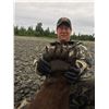 Image 8 : Alaska Brown Bear Hunt