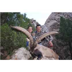 Spanish Ibex Hunt with Spain Safaris