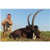 Image 2 : Dries Visser Safaris 7 - day for Roan & Sable Antelopes for 2 Hunters & Companions