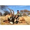 Image 3 : Dries Visser Safaris 7 - day for Roan & Sable Antelopes for 2 Hunters & Companions