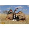 Image 4 : Dries Visser Safaris 7 - day for Roan & Sable Antelopes for 2 Hunters & Companions
