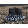 Image 4 : North Dakota Duck & Goose Hunt for 2
