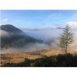 Oregon 5 Day Columbia Blacktail Hunt for 2