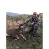 Image 4 : Oregon 5 Day Columbia Blacktail Hunt for 2