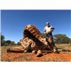 Image 5 : 7-Day Giraffe Hunt for 2 Hunters with Monkane Safaris