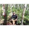 Image 3 : Unguided Colorado Archery Elk Hunt