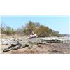Image 6 : Africa Maximum Safaris 7 Day Nile Crocodile for 2 Hunters & 2 Observers