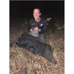 Night Time Wild Boar Hunt with Dogs in Florida with Okeechobee Outfitters