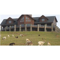 Pennsylvania Youth Cow Elk Hunt With Big 5 Lodge