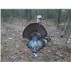 Image 3 : 3 Day Maryland Eastern Wild Turkey Hunt for 2 Hunters