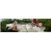 Image 1 : Florida Fishing with High Adventure Sportfishing