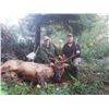 Image 2 : Oregon 6 Day Roosevelt Elk Hunt for 2