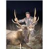 Image 4 : Oregon 6 Day Roosevelt Elk Hunt for 2