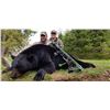 Image 5 : 7-Day New Brunswick Black Bear Hunt