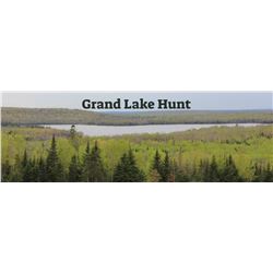 4 Day/3 Night Estate Hunt in Maine	for Fallow Deer