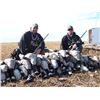 Image 6 : 3 Days of Goose and Duck Hunting for 2 Hunters
