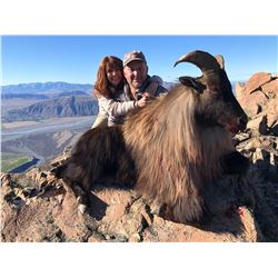 5 Day New Zealand Bull Tahr Hunt with South Pacific Safaris
