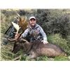 Image 6 : 5 Day New Zealand Bull Tahr Hunt with South Pacific Safaris