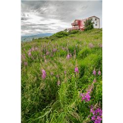 7-Day Alaska Fishing Adventure with Talarik Creek Lodge