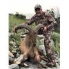 Image 5 : Aoudad Hunt in Texas with Trash Rack Ranch
