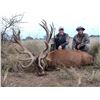 Image 5 : 5-day Big Game Hunt in Argentina for two Hunters With $1000 Trophy Fee Credit Per Hunter