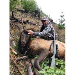 Oregon 5 Day Spike Roosevelt Elk Hunt for 2