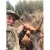 Image 3 : Oregon 5 Day Spike Roosevelt Elk Hunt for 2