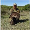 Image 4 : 2-Day Youth Turkey Hunt in Texas with Trash Rack Ranch