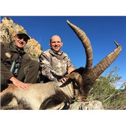 Management Ibex hunt in Beceite Mountains of Spain