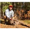 Image 3 : 2 Youth Sika Deer Hunt with Williamson Outfitters benefiting Catch-A-Dream Foundation