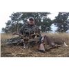 Image 4 : 3 Day, 2 Night Texas Hill Country hunt for choice of Whitetail, Blackbuck or Aoudad
