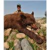 Image 6 : Alberta Black Bear Hunt with McKinnon & Co.