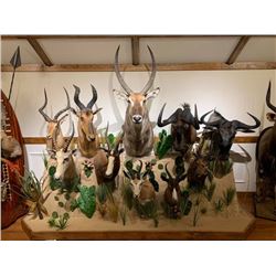 Pedestal Shoulder Mount for any animal up to Elk Size