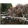 Image 3 : 2-Day Chesapeake Duck & Goose Hunt for 4 Hunters