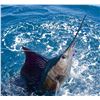 Image 2 : 6 Days and 5 Nights Fishing & Rainforest Adventure for 2 in Costa Rica