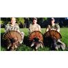 Image 5 : Osceola Turkey hunt for 1 in Florida with Okeechobee Outfitters