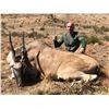 Image 1 : 7 Day South Africa Plains Game Hunt with Somerby Safaris for 2 Hunters & 2 Non-hunters